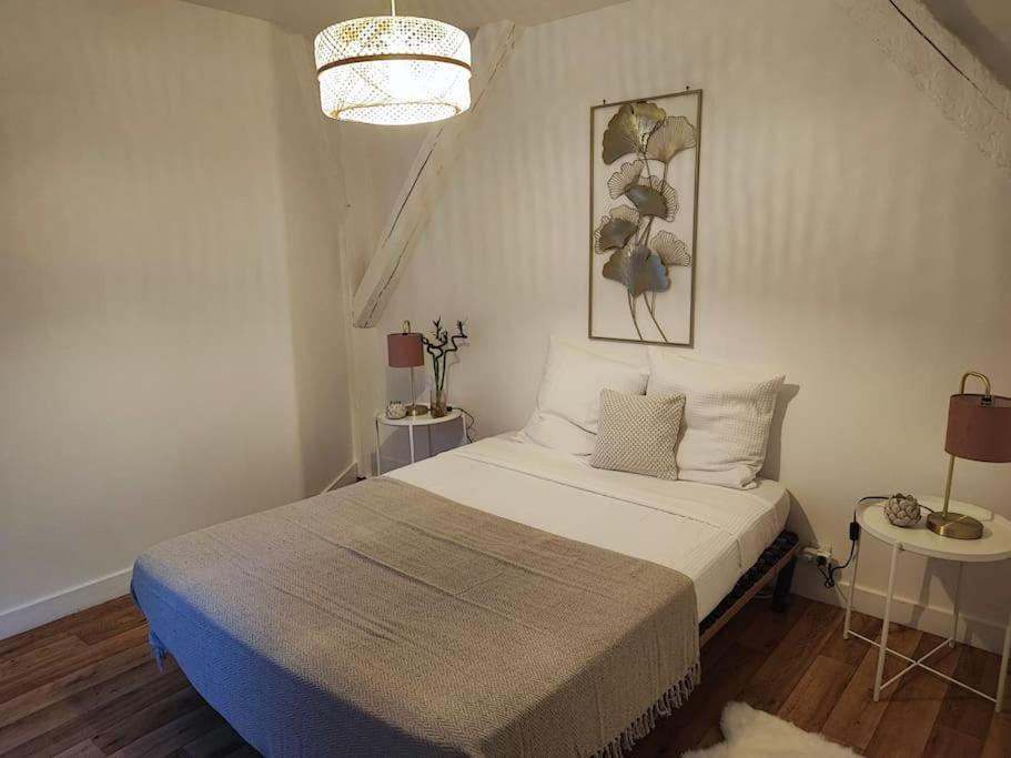 Magnifique Appartement Beaux Arts Tours Exterior photo
